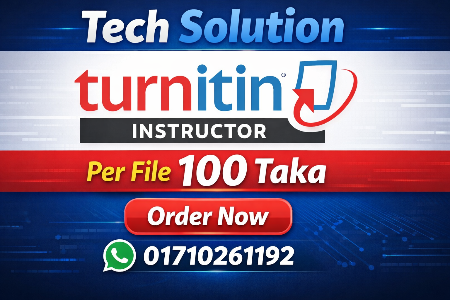 Turnitin Instructor (File Check)